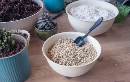 سنگ پرلیت (Perlite)